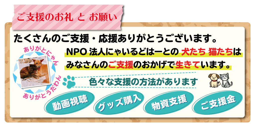 ご支援のお礼とお願い