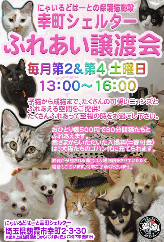 2026年4月11日(土) 幸町ふれあい譲渡会