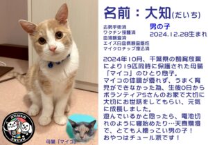 大知（だいち）