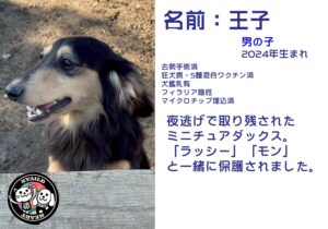 王子（おうじ）