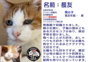 長友（ながとも）