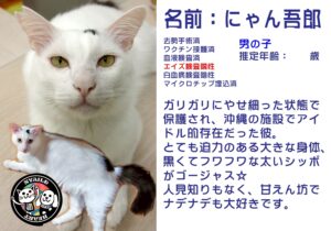 にゃん吾郎（ごろう）