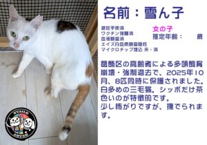 雪ん子（ゆきんこ）