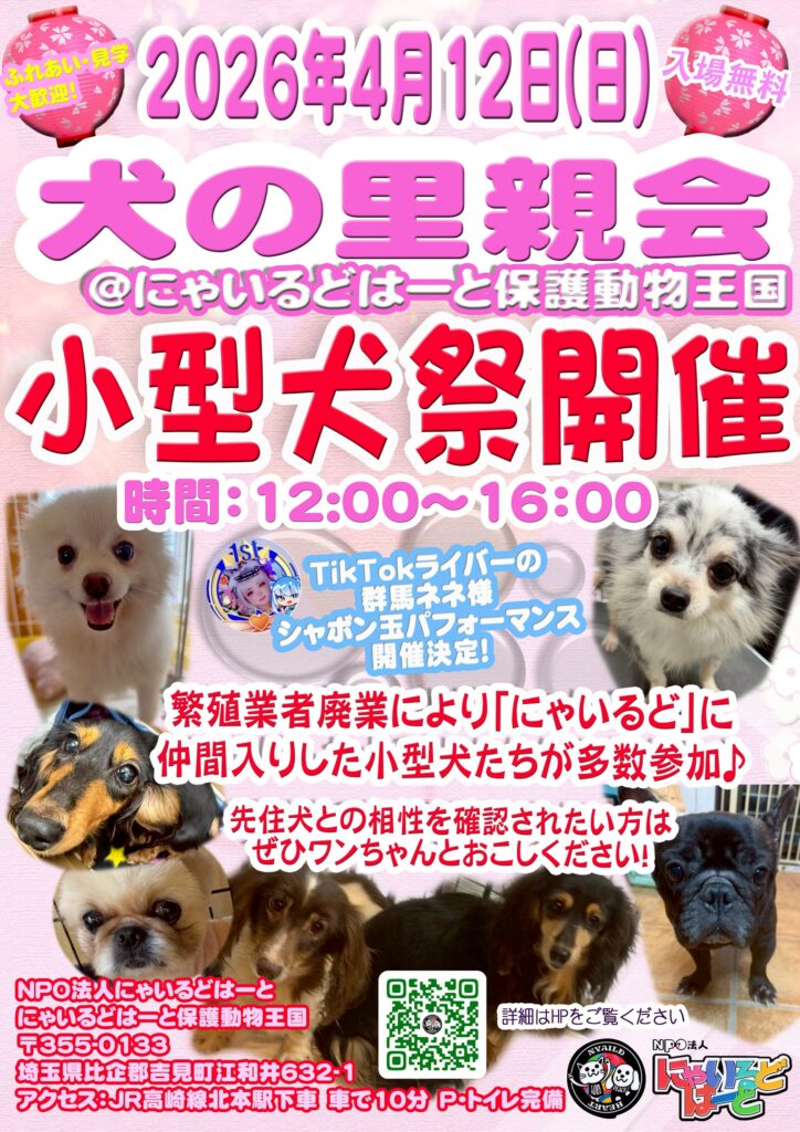 2026年4月12日(日) 犬の譲渡会 小型犬祭 にゃいるどはーと保護動物王国