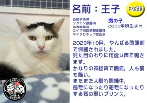 王子（おうじ）